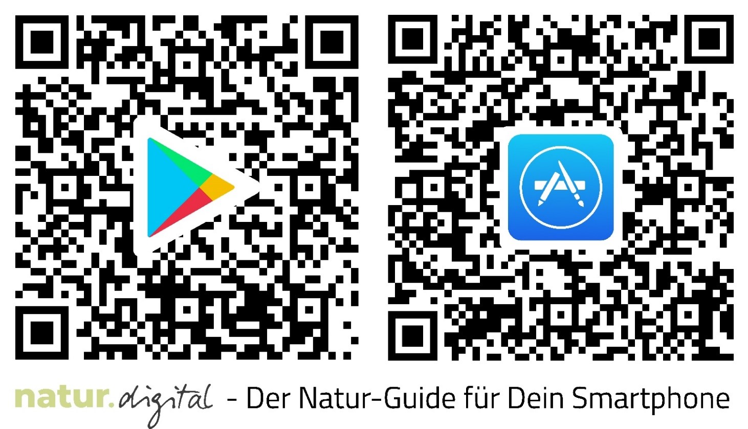 Qr-code 1