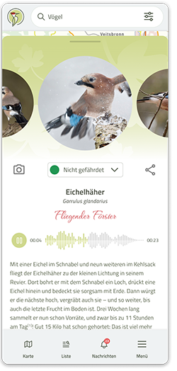 Mobilephone-Screen der natur.digital-App